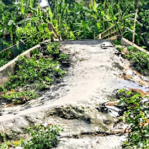 ৩০ বছর আগে সেতু নির্মাণ হলেও নেই সংযোগ সড়ক, ভোগান্তিতে ছয় গ্রামের মানুষ