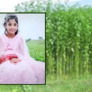 নিখোঁজের পরদিন পাটক্ষেতে মিললো ৯ বছরের কন্যাশিশুর মরদেহ 