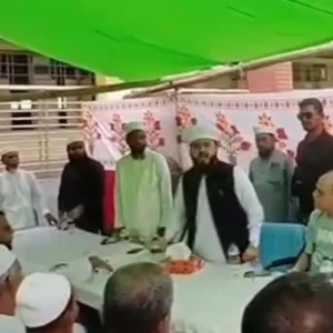 সালিস বৈঠকে মেজাজ হারিয়ে বিএনপি নেতাকে শাসালেন হানজালা