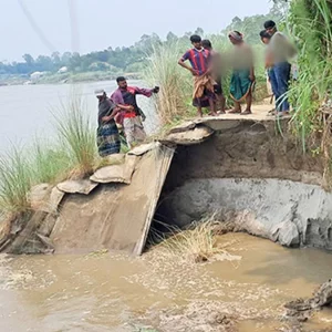 যমুনায় পানি বাড়তেই চরাঞ্চলে ভাঙন শুরু, ১২০ মিটার এলাকা নদীগর্ভে