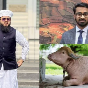 চিড়িয়াখানায় রাশেদ খাঁনকে রেখে আসব ‘ডোনাল্ড ট্রাম্প’ নামের এক গরুর পাশে