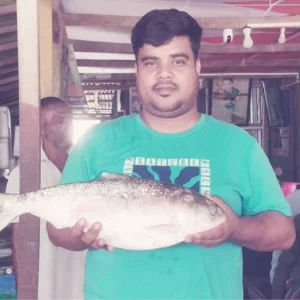 ভোলার মেঘনায় ধরা পড়ল ৩ কেজি ওজনের ইলিশ
