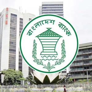 জুনের প্রথম ২০ দিনে দেশে এলো ১৯৫ কোটি ডলারের বেশি রেমিট্যান্স