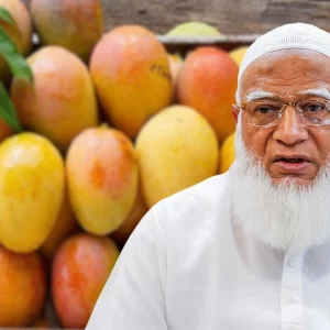 সংসদের সবাইকে ১০ কেজি করে আম উপহার দিলেন জামায়াত আমির