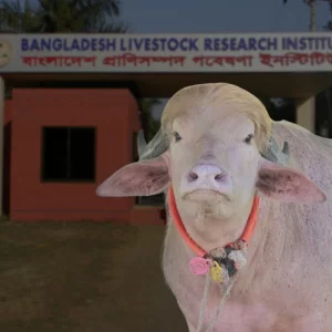 সেই ডোনাল্ড ট্রাম্পকে চিড়িয়াখানা থেকে সাভারে স্থানান্তর