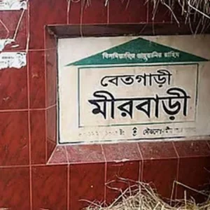 বিতর্কের পর বগুড়ার সেই তিন ইউনিয়নের নাম পরিবর্তনে কাল গণশুনানি