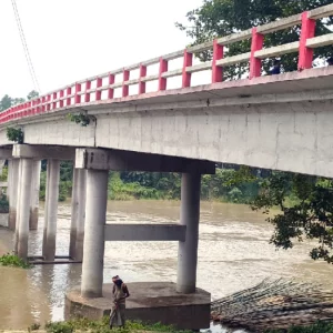 প্রেমিক বিয়েতে রাজি না হওয়ায় নদীতে ঝাঁপ কলেজছাত্রীর