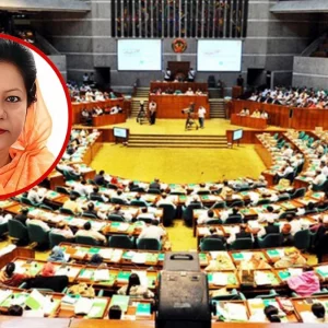 ‘দানব হাসিনা ফিরে এলে ফেসবুকে প্রোফাইল লালকারীদের জীবন কালো করে দেবে’