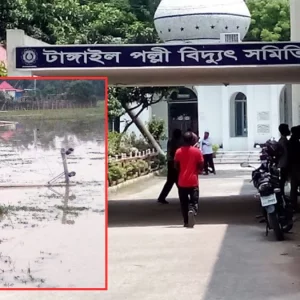তিন দিন ধরে বিদ্যুৎহীন সখীপুরের দুই গ্রাম