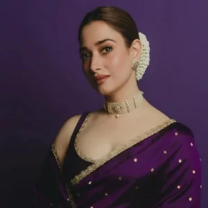 দক্ষিণ ভারতীয় ইন্ডাস্ট্রি ‘পুরুষতান্ত্রিক’: তামান্না ভাটিয়া