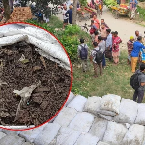 ২৫ কোটি বৃক্ষরোপণ কর্মসূচিতে পলিথিন মেশানো ভেজাল সার বিতরণ