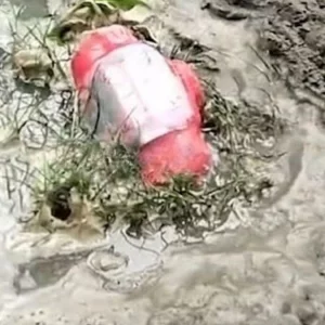 চুয়াডাঙ্গায় ‘জয় বাংলা’ লেখা বোমাসদৃশ বস্তু উদ্ধার