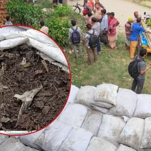 বৃক্ষরোপণ কর্মসূচিতে ভেজাল সার বিতরণের ঘটনা তদন্তে কমিটি