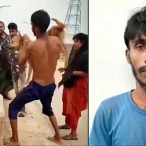নরসিংদীতে কুকুরের গলায় ইট বেঁধে নদীতে নিক্ষেপ, যুবক আটক