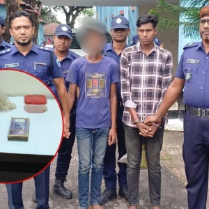 টাকা লুটের পর ইট-হাতুড়ির আঘাতে চাচিকে হত্যা, ভাতিজাসহ গ্রেপ্তার ২