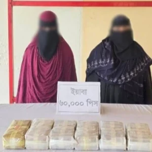 টেকনাফে ৬০ হাজার পিস ইয়াবাসহ দুই রোহিঙ্গা নারী আটক