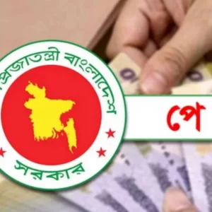 প্রস্তুত পে স্কেলের খসড়া গেজেট, বাতিলসহ কাটাছেঁড়া হচ্ছে কিছু ভাতা