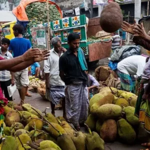 বাংলাদেশ থেকে যে কারণে কাঁঠাল নিতে চায় চীন