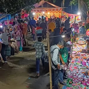 ঐতিহাসিক শতবর্ষী ‘পাগলির মেলা’ ঘিরে মানুষের ঢল