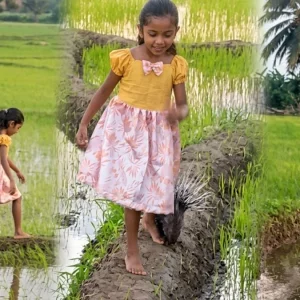শিশুর কোলে গন্ধগোকুল, পেছনে সজারু: ভাইরাল ভিডিওটি বাংলাদেশের নয়