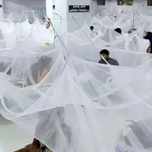 ২৪ ঘণ্টায় ডেঙ্গুতে পাঁচজনের মৃত্যু