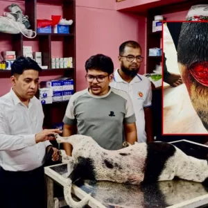 পথ কুকুরকে কুপিয়ে জখমের অভিযোগে ব্যবসায়ী গ্রেপ্তার