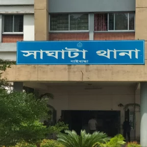 গাইবান্ধায় দাদিকে কুপিয়ে হত্যা, নাতি আটক