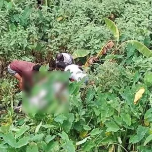 নিখোঁজের ৩৪ ঘণ্টা পর ডোবায় মিললো নারীর মরদেহ