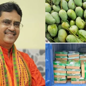 ত্রিপুরার মুখ্যমন্ত্রীর জন্য ৬০০ কেজি আম পাঠাল পররাষ্ট্র মন্ত্রণালয়