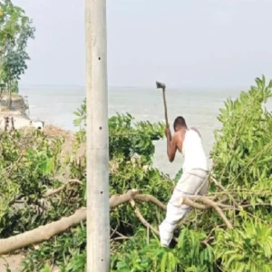 চিলমারীতে আধা ঘণ্টায় ব্রহ্মপুত্রে বিলীন ২৫ বসতঘর, আতঙ্কে তীরবর্তী মানুষ