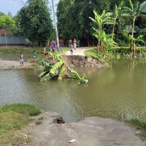 ধরলার তীব্র স্রোতে ফুলবাড়ীতে কালভার্ট ধস, বিলীন ৫০ ফুট সড়ক