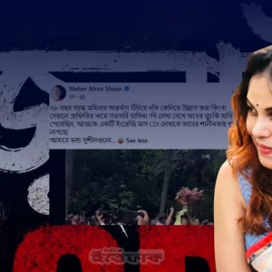 জুলাই নিয়ে পোস্টে সমালোচনাকারীদের কটাক্ষ করলেন শাওন