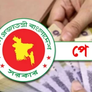 ধাপে ধাপে পে-স্কেল বাস্তবায়ন, বেসিক বেতন ভাঙার সিদ্ধান্তে জটিলতার শঙ্কা