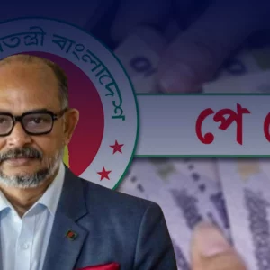 রাজনৈতিক নির্দেশনার আলোকেই নতুন পে-স্কেল বাস্তবায়ন হবে: প্রধানমন্ত্রীর অর্থ উপদেষ্টা