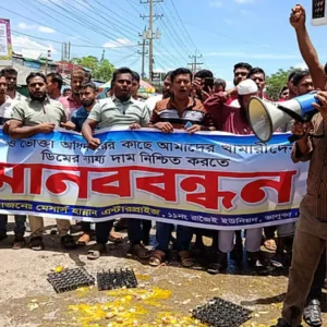 মহাসড়কে ডিম ভেঙে খামারিদের বিক্ষোভ