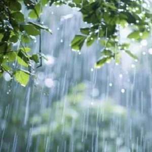 সারাদেশে বৃষ্টির সম্ভাবনা, কমতে পারে তাপমাত্রা