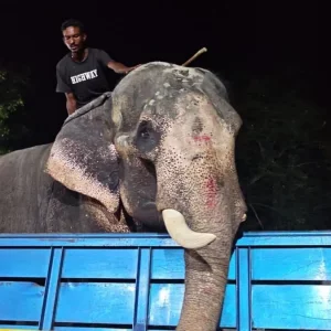 প্রধানমন্ত্রীর নির্দেশে চিড়িয়াখানায় গেল ‘বাদশা বাহাদুর’