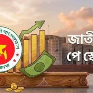 পে-স্কেল বাস্তবায়নে নতুন বাধা, সফটওয়্যার জটিলতায় পেছাল গেজেট