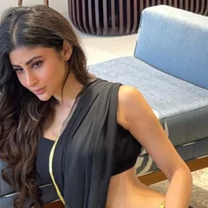 ‘ডিভোর্স’ গুঞ্জনের মধ্যেই মৌনিকে অপবাদ