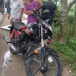 ডাক্তার দেখাতে যাওয়ার পথে প্রাণ গেল মা-ছেলের, আহত স্বামী