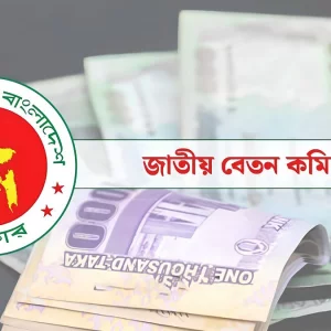 সরকারি চাকরিজীবীদের বেতন ১০০ শতাংশ পর্যন্ত বাড়তে পারে