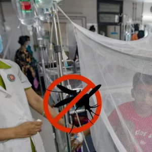 দেশে ডেঙ্গু আক্রান্ত ৭ হাজার ছাড়ালো, ২৪ ঘণ্টায় হাসপাতালে ভর্তি ১৯৬