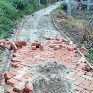গ্রামীণ রাস্তার দুই পাশে ইট আর মাঝখানে মাটি, ভোগান্তিতে গ্রামবাসী