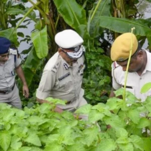 পশ্চিমবঙ্গে শিশু ধর্ষণ ও হত্যার প্রধান অভিযুক্ত ‘বন্দুকযুদ্ধে’ নিহত