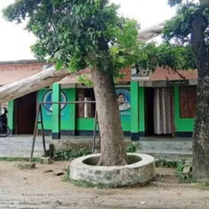 স্কুল ভবনে উপড়ে পড়ে আছে বিশাল গাছ, ঝুঁকি নিয়ে চলছে ক্লাস