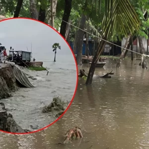 টানা বৃষ্টিতে তলিয়ে গেছে নিঝুপদ্বীপ, পানিবন্দী হাজারো মানুষ 