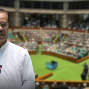 ‘সংসদের সিটে বালিশ দেওয়ায় বসা আরামদায়ক হয়েছে’