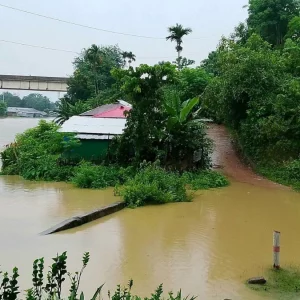রাঙ্গামাটিতে পানিবন্দী ২০ হাজার মানুষ, ৬ দিনে শতাধিক পাহাড়ধস