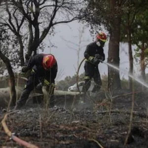 দক্ষিণ স্পেনে ভয়াবহ দাবানলে নিহত ১২, আগুন নিয়ন্ত্রণে শতাধিক দমকলকর্মীর লড়াই