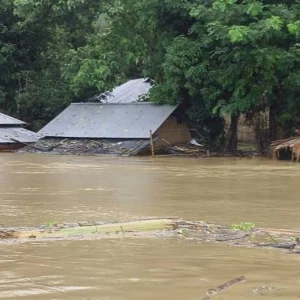 বন্যায় ক্ষতিগ্রস্ত ব্যক্তিপ্রতি বরাদ্দ ৩.২ কেজি  চাল ও নগদ ২৮ টাকা
